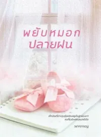 หน้าปกนวนิยาย พยับหมอกปลายฝน