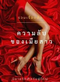 หน้าปกนวนิยาย ความลับของเมียสาว