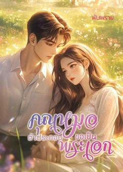 ภาพปกนิยายเรื่อง คุณหมอตัวประกอบขอเป็นพระเอก