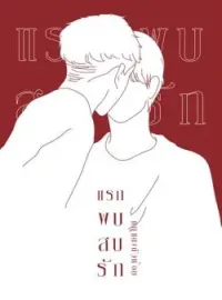 หน้าปกนวนิยาย แรกพบสบรัก
