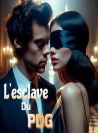 Couverture du roman L'esclave du PDG