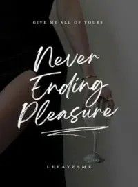 Sampul Novel Never Ending Pleasure