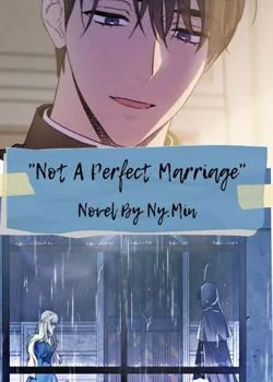 Sampul Novel Not A Perfect Marriage