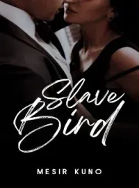 Sampul Novel Slave Bird 