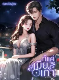 หน้าปกนวนิยาย ก็แค่เมียเก่า