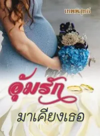 หน้าปกนวนิยาย  อุ้มรักมาเคียงเธอ