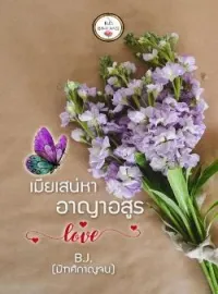 หน้าปกนวนิยาย เมียเสน่หาอาญาอสูร