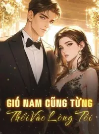 Bìa tiểu thuyết Gió Nam Cũng Từng Thổi Vào Lòng Tôi