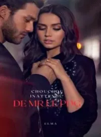 Couverture du roman Chouchou inattendu de MR le PDG