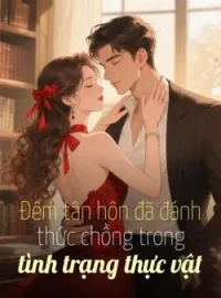 Bìa tiểu thuyết Đêm tân hôn đã đánh thức chồng trong tình trạng thực vật
