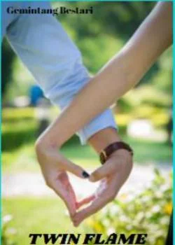 Sampul Novel TWIN FLAME