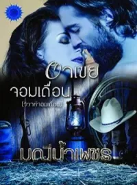 หน้าปกนวนิยาย อาเขยจอมเถื่อน