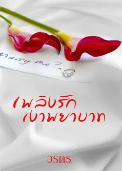 ภาพปกนิยายเรื่อง เพลิงรักเงาพยาบาท