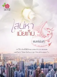 หน้าปกนวนิยาย เสน่หาเมียเก็บ