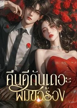 ภาพปกนิยายเรื่อง คืนดีกันเถอะ ผมขอร้อง