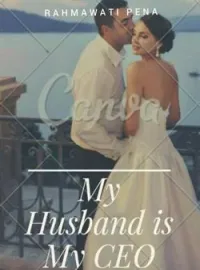 Sampul Novel My Husband Is My CEO