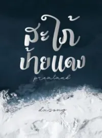 หน้าปกนวนิยาย สะใภ้ป้ายเเดง