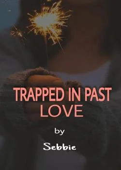 Sampul Novel Trapped In Past Love