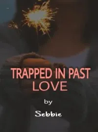 Sampul Novel Trapped In Past Love