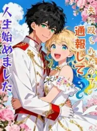 夫に殴られたので、通報して人生始めました の小説カバー