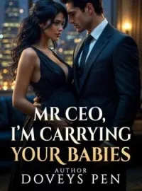 Mr Ceo, I'm Carrying Your Babies 