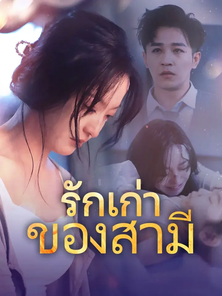 รักเก่าของสามีมินิซีรีส์