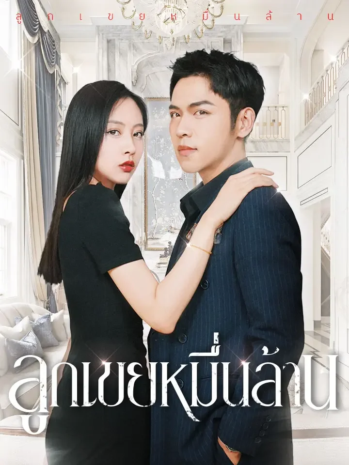 ลูกเขยหมื่นล้านมินิซีรีส์