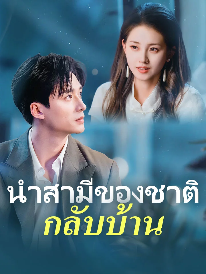 นำสามีของชาติกลับบ้านมินิซีรีส์