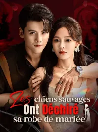 Les chiens sauvages ont déchiré sa robe de mariéeMini-dramas