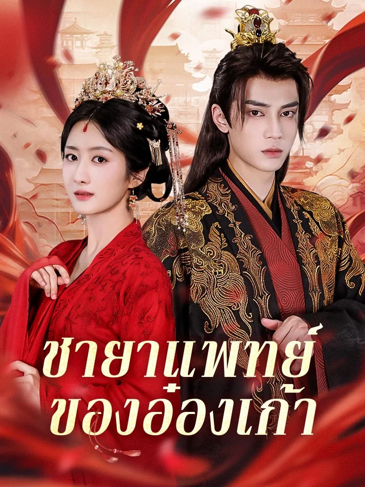 ชายาแพทย์ของอ๋องเก้ามินิซีรีส์