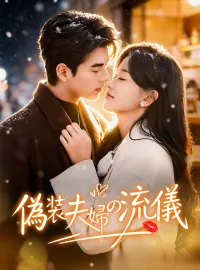 偽装夫婦の流儀