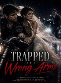 Trapped In The Wrong Arms Novel Cover