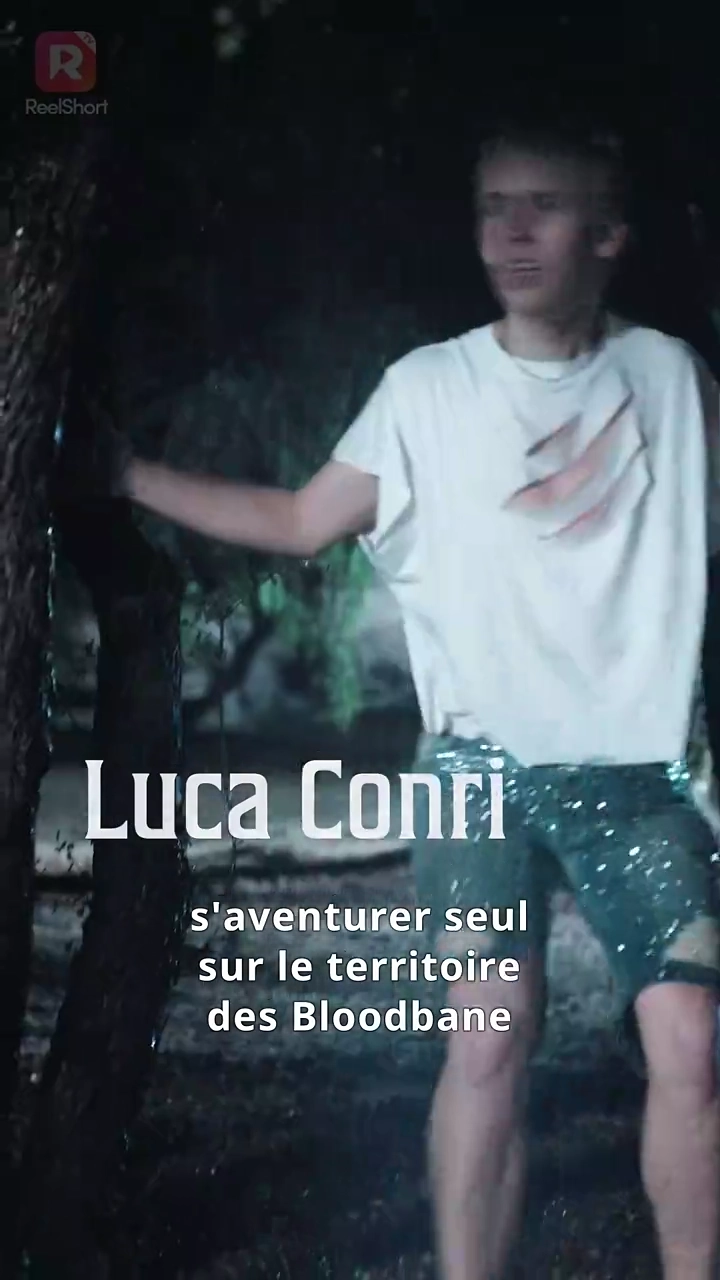 Comment j'ai conquis l'AlphaPhoto