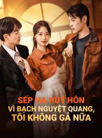 Sếp Hạ Huỷ Hôn Vì Bạch Nguyệt Quang, Tôi Không Gả Nữa