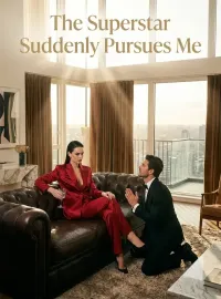The Superstar Suddenly Pursues Me Novel Cover