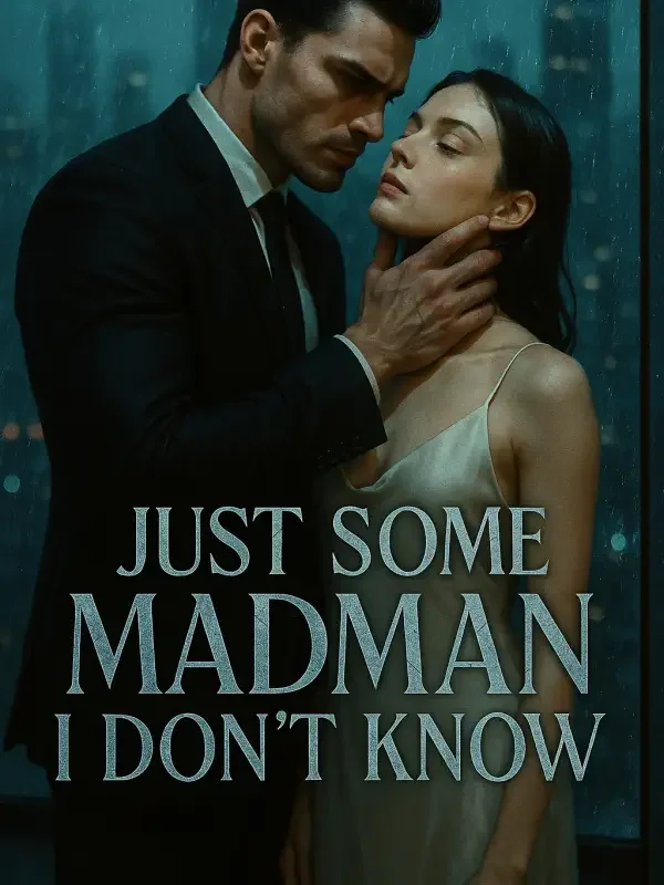Just Some Madman I Don't Know Novel Cover
