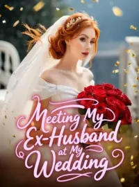 Meeting My Ex-Husband at My Wedding Novel Cover