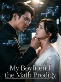 My Boyfriend, the Math Prodigy Novel Cover
