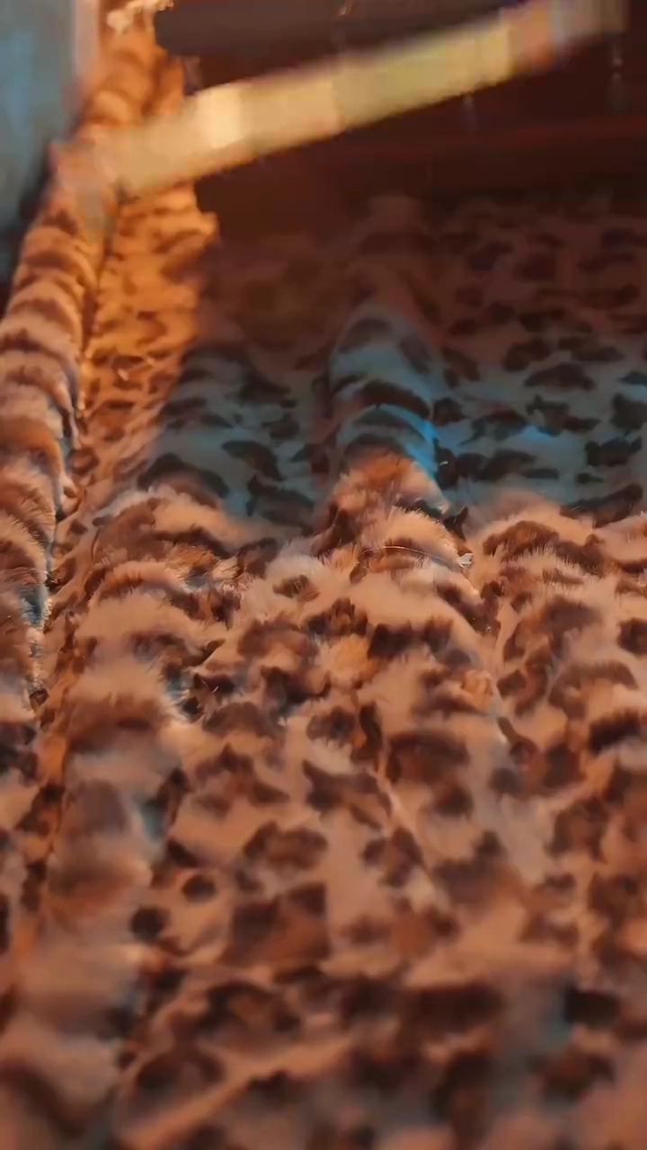 The Emperor's Secret AffairPhoto