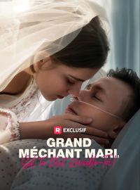 Grand Méchant Mari, S'il Te Plaît Réveille-Toi !Mini-dramas