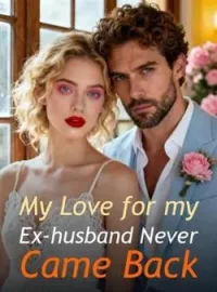 My Love for my Ex-husband Never Came Back Novel Cover