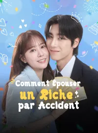 Comment Épouser un Riche par AccidentMini-séries