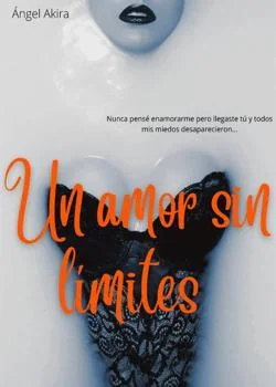 Portada de la novela UN AMOR SIN LÍMITES 
