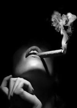 Portada de la novela Placer intenso placer ll
