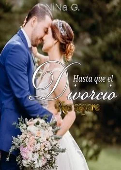 Portada de la novela Hasta que el divorcio nos separe 