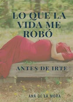 Portada de la novela Lo que la vida me robó