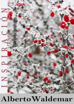 Portada de la novela INSPIRACIÓN 