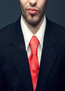 Portada de la novela la virgen del CEO