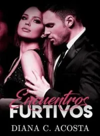 Portada de la novela ENCUENTROS FURTIVOS