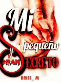 Portada de la novela Mi pequeño y gran secreto